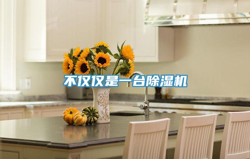 不仅仅是一台除湿机