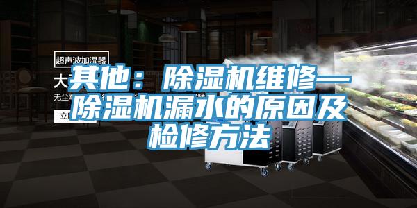 其他：除湿机维修—除湿机漏水的原因及检修方法
