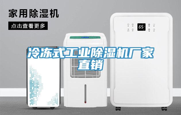 冷冻式工业除湿机厂家直销