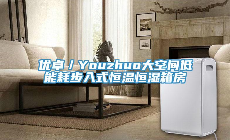 优卓／Youzhuo大空间低能耗步入式恒温恒湿箱房