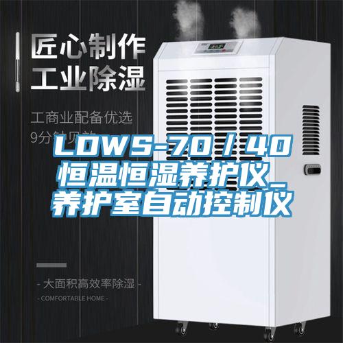 LDWS-70／40恒温恒湿养护仪_养护室自动控制仪