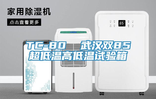 TC-80  武汉双85超低温高低温试验箱