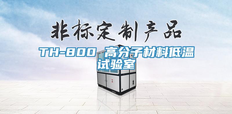 TH-800 高分子材料低温试验室