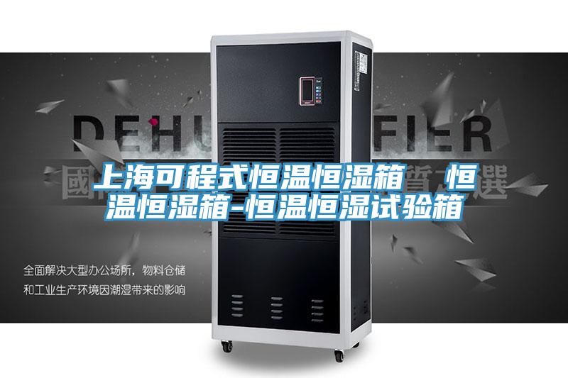 上海可程式恒温恒湿箱  恒温恒湿箱-恒温恒湿试验箱