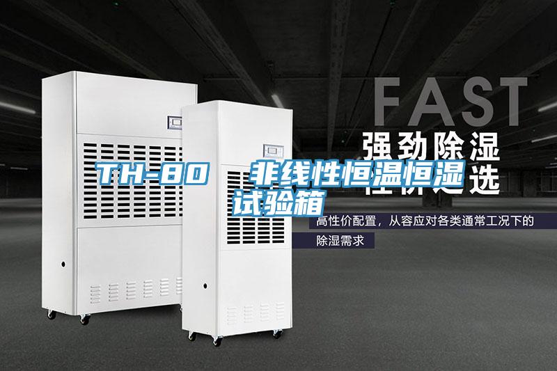 TH-80  非线性恒温恒湿试验箱