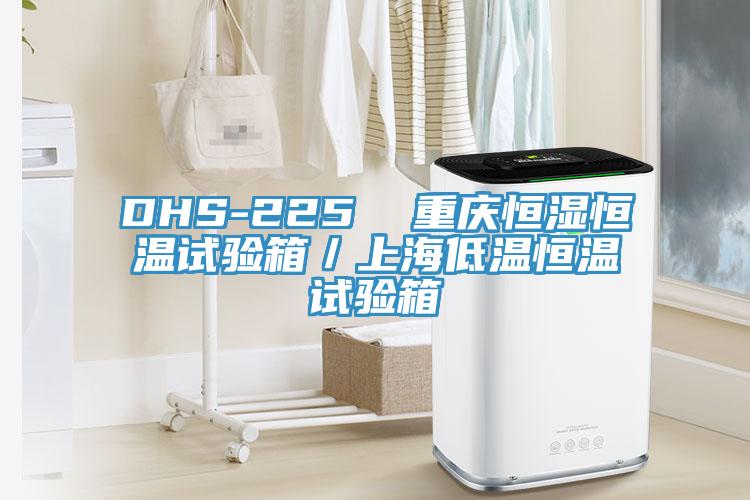 DHS-225  重庆恒湿恒温试验箱／上海低温恒温试验箱