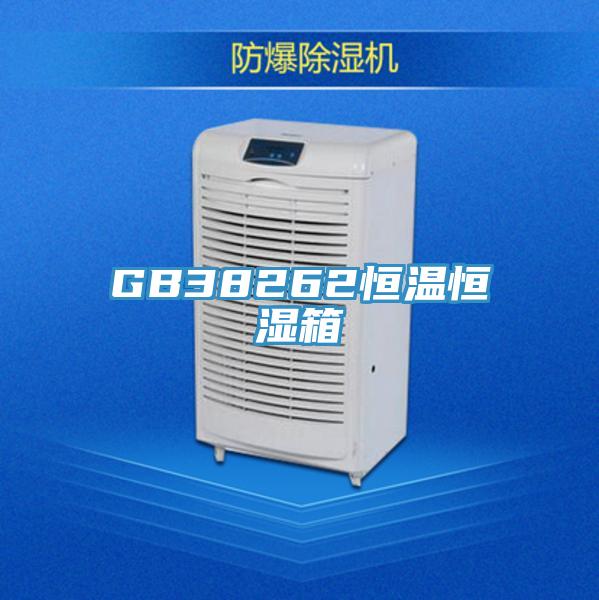 GB38262恒温恒湿箱