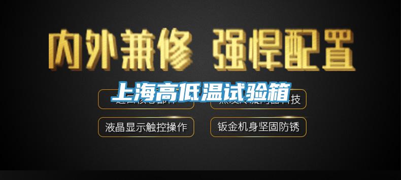 上海高低温试验箱