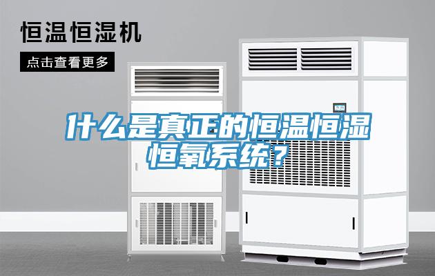 什么是真正的恒温恒湿恒氧系统？