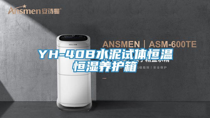 YH-40B水泥试体恒温恒湿养护箱