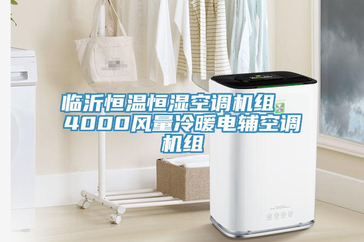 临沂恒温恒湿空调机组  4000风量冷暖电辅空调机组