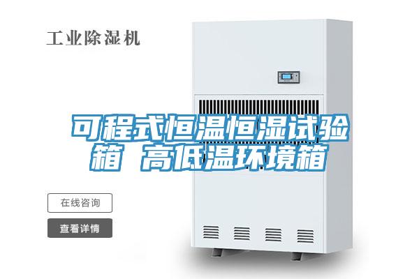 可程式恒温恒湿试验箱 高低温环境箱