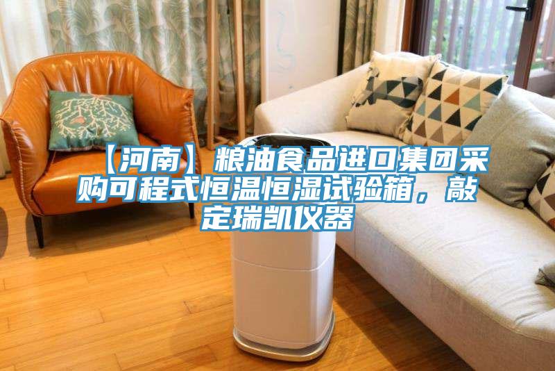【河南】粮油食品进口集团采购可程式恒温恒湿试验箱，敲定瑞凯仪器