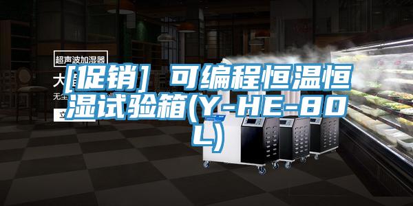 [促销] 可编程恒温恒湿试验箱(Y-HE-80L)