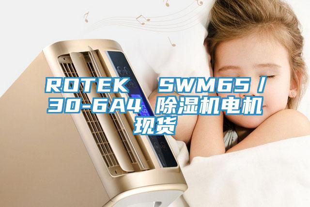 ROTEK  SWM65／30-6A4 除湿机电机现货