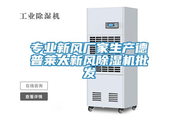 专业新风厂家生产德普莱太新风除湿机批发