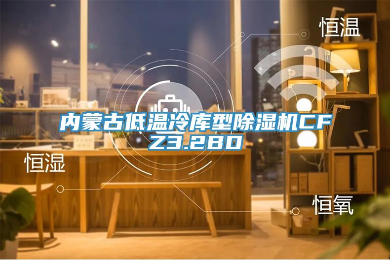 内蒙古低温冷库型除湿机CFZ3.2BD