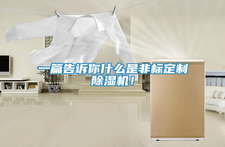 一篇告诉你什么是非标定制除湿机！