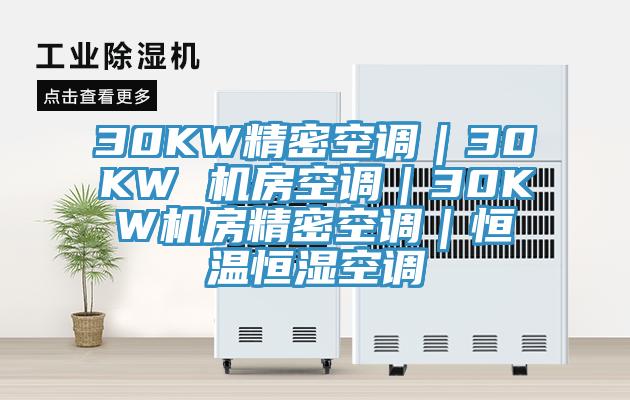 30KW精密空调｜30KW 机房空调｜30KW机房精密空调｜恒温恒湿空调