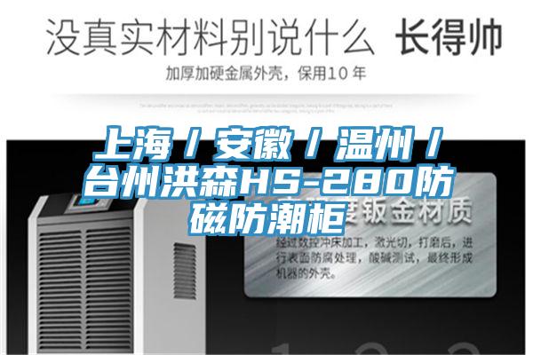 上海／安徽／温州／台州洪森HS-280防磁防潮柜