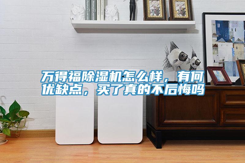 万得福除湿机怎么样，有何优缺点，买了真的不后悔吗