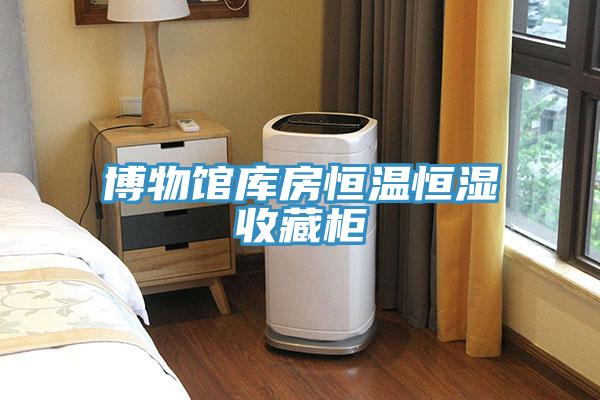 博物馆库房恒温恒湿收藏柜