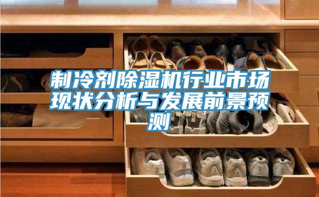 制冷剂除湿机行业市场现状分析与发展前景预测