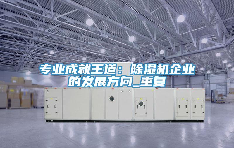 专业成就王道：除湿机企业的发展方向_重复