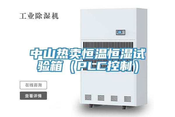中山热卖恒温恒湿试验箱（PLC控制）