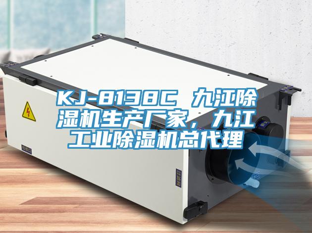 KJ-8138C 九江除湿机生产厂家，九江工业除湿机总代理