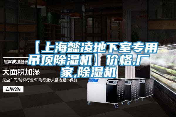 【上海懿凌地下室专用吊顶除湿机】价格,厂家,除湿机