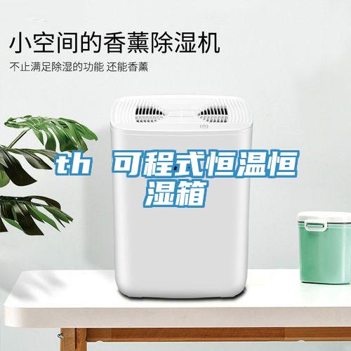 th 可程式恒温恒湿箱