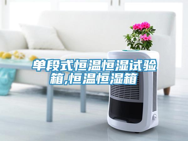单段式恒温恒湿试验箱,恒温恒湿箱
