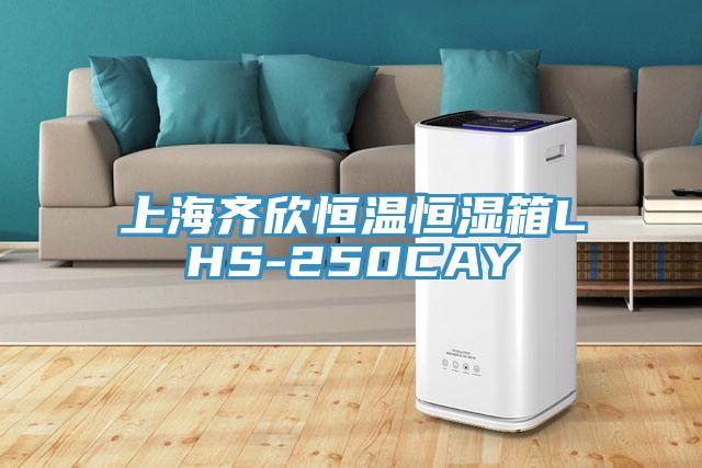 上海齐欣恒温恒湿箱LHS-250CAY