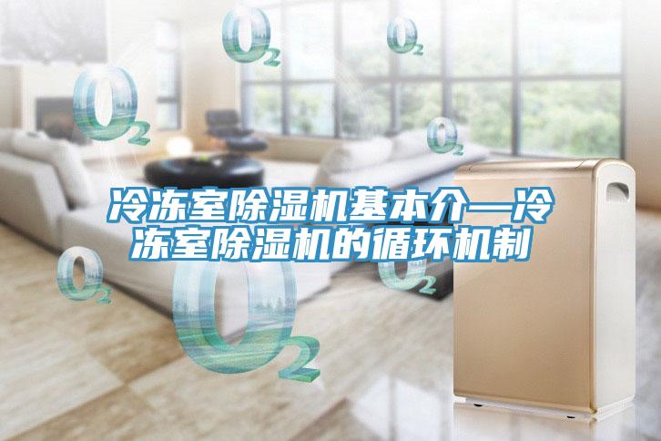 冷冻室除湿机基本介—冷冻室除湿机的循环机制