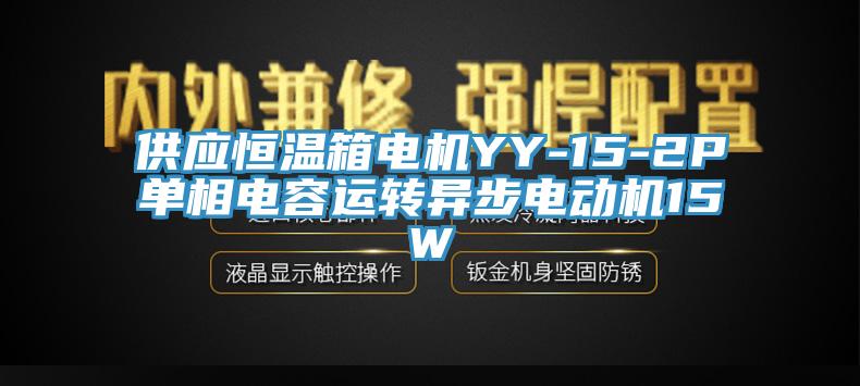 供应恒温箱电机YY-15-2P单相电容运转异步电动机15W