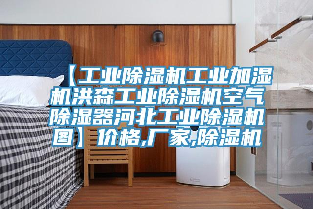 【工业除湿机工业加湿机洪森工业除湿机空气除湿器河北工业除湿机图】价格,厂家,除湿机