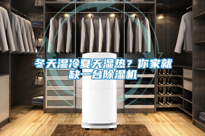 冬天湿冷夏天湿热？你家就缺一台除湿机
