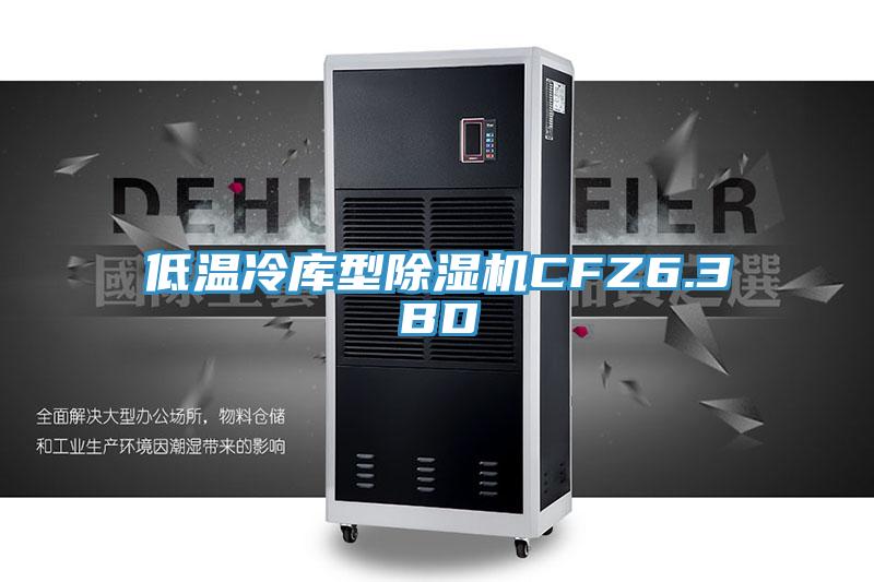 低温冷库型除湿机CFZ6.3BD
