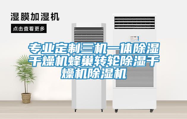 专业定制三机一体除湿干燥机蜂巢转轮除湿干燥机除湿机