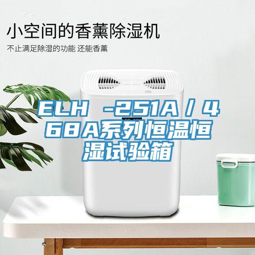 ELH -251A／468A系列恒温恒湿试验箱