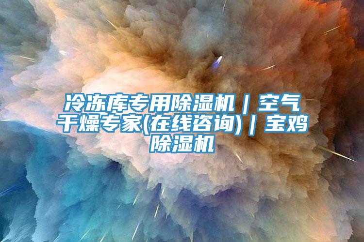 冷冻库专用除湿机｜空气干燥专家(在线咨询)｜宝鸡除湿机