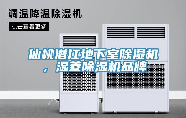 仙桃潜江地下室除湿机，湿菱除湿机品牌