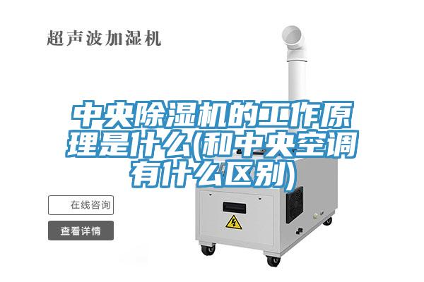 中央除湿机的工作原理是什么(和中央空调有什么区别)