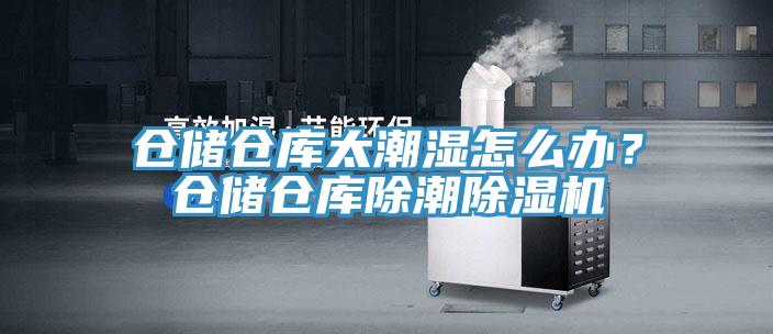 仓储仓库太潮湿怎么办？仓储仓库除潮除湿机