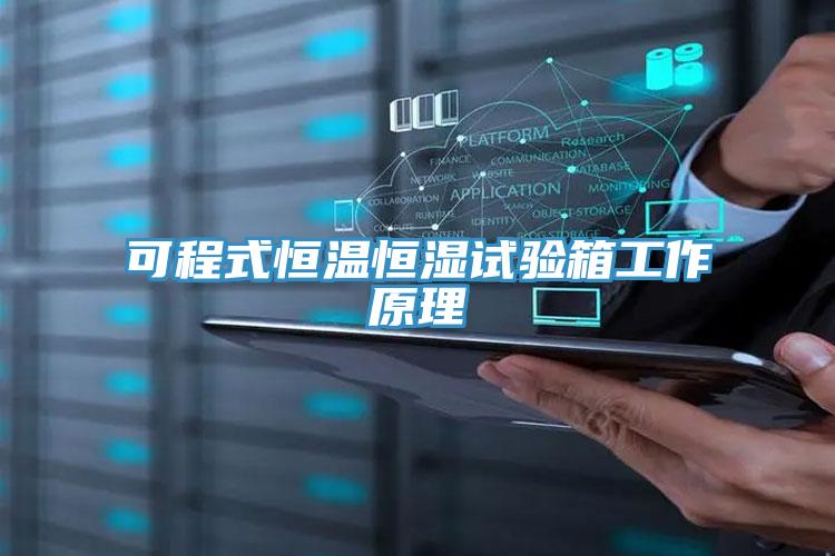 可程式恒温恒湿试验箱工作原理