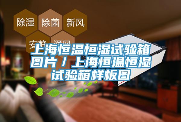 上海恒温恒湿试验箱图片／上海恒温恒湿试验箱样板图