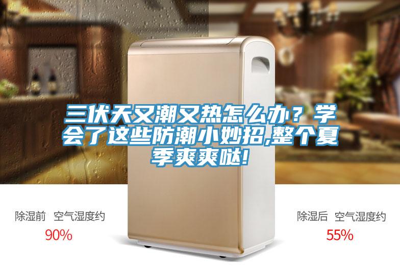 三伏天又潮又热怎么办？学会了这些防潮小妙招,整个夏季爽爽哒!