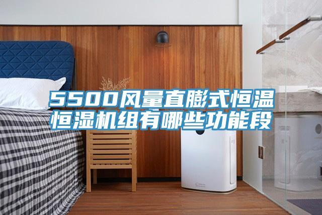 5500风量直膨式恒温恒湿机组有哪些功能段