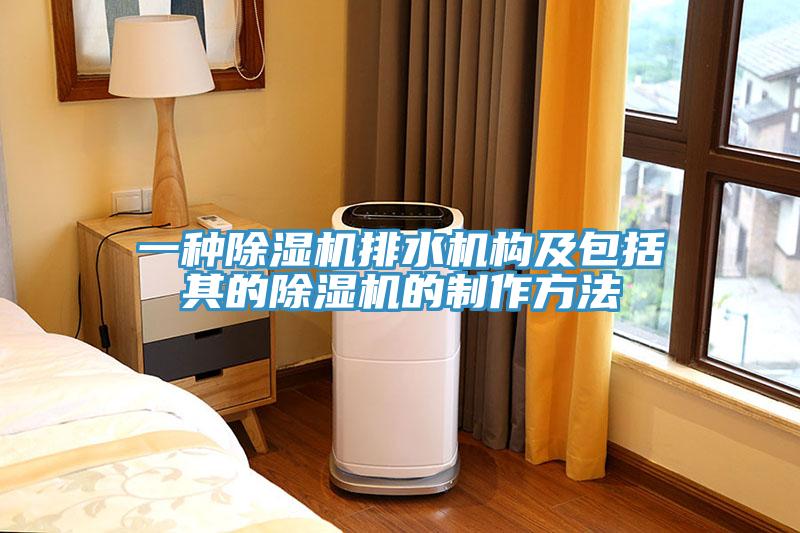 一种除湿机排水机构及包括其的除湿机的制作方法